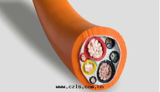 電(diàn)動(dòng)汽車充電(diàn)電(diàn)缆(lǎn)